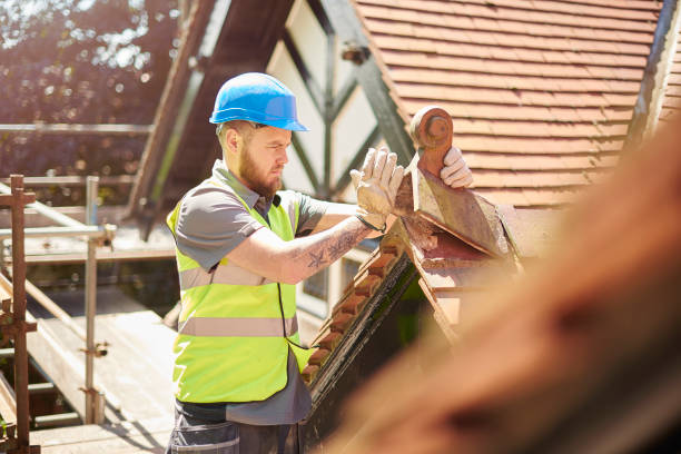 Best Roof Gutter Cleaning  in Governors Clu, NC